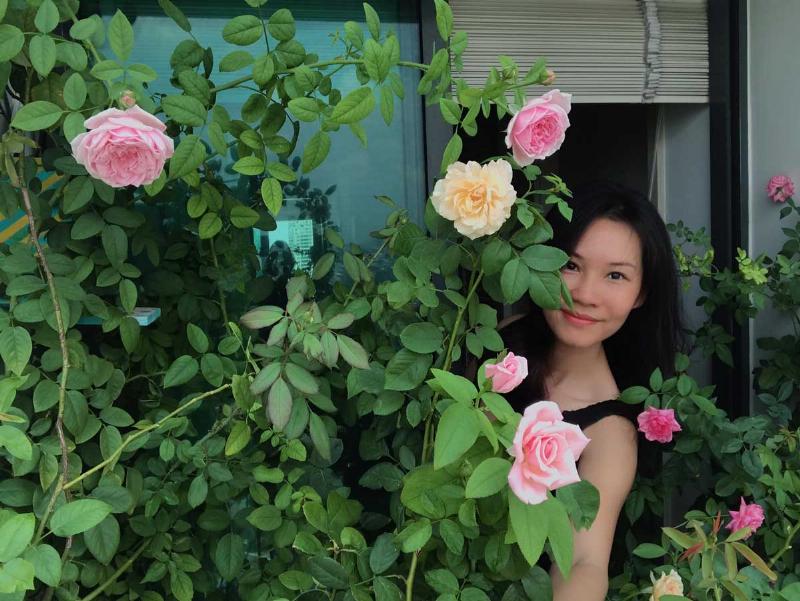 Bảng so sánh đặc điểm nhận dạng của một số loại hoa hồng Đà Lạt phổ biến dựa trên màu sắc, form hoa, hương thơm